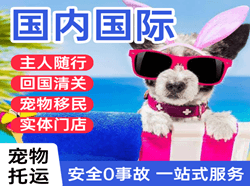 凤凰空运国际宠物托运 【国